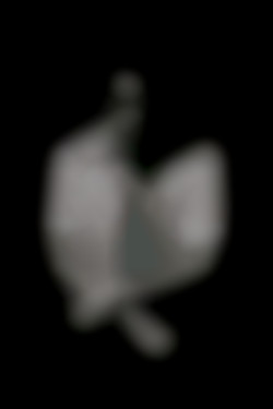 Member Image