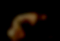 Member Image