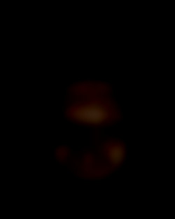 Member Image