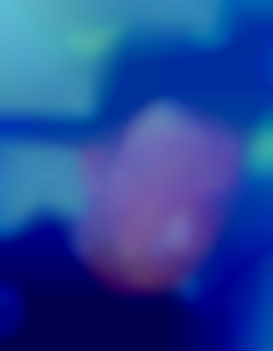 Member Image