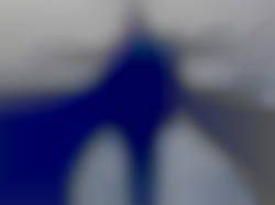 Member Image