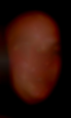 Member Image