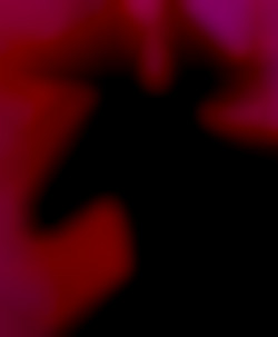 Member Image