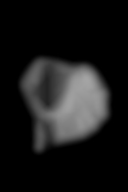 Member Image
