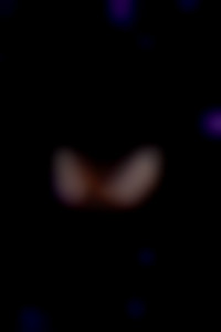 Member Image