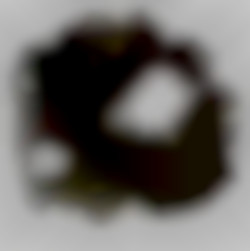 Member Image