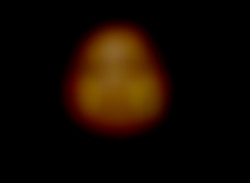 Member Image