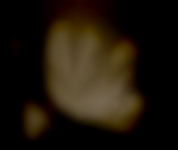 Member Image