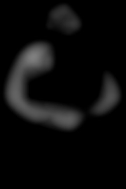 Member Image