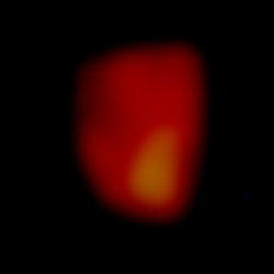 Member Image