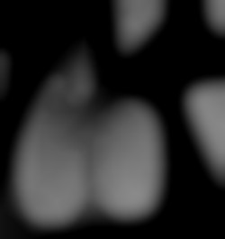 Member Image