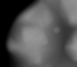 Member Image