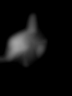 Member Image