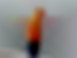 Member Image
