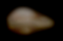 Member Image