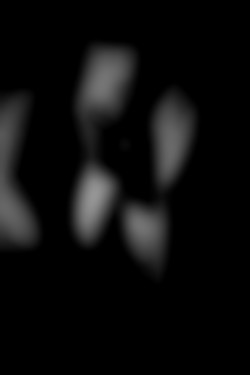 Member Image
