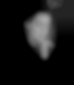 Member Image