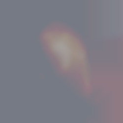 Member Image