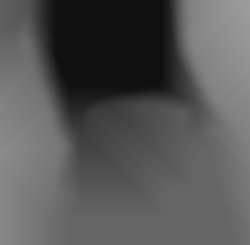 Member Image