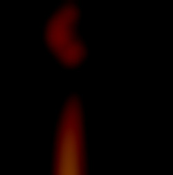 Member Image