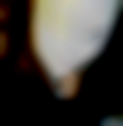 Member Image