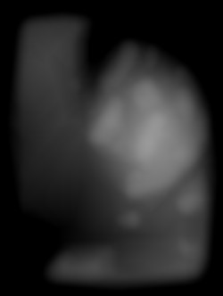 Member Image