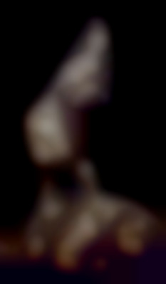 Member Image