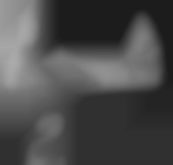 Member Image