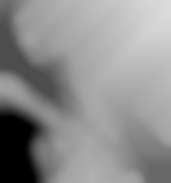 Member Image