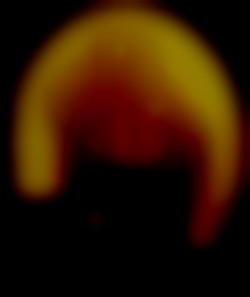 Member Image