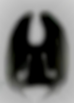 Member Image