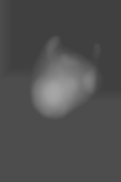 Member Image