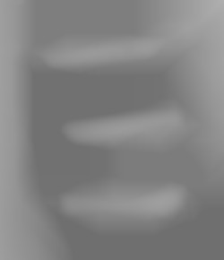 Member Image