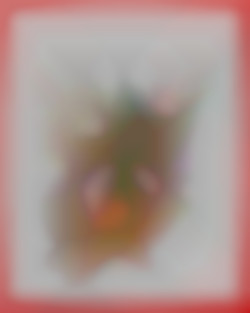 Member Image