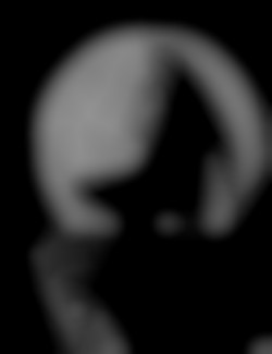Member Image