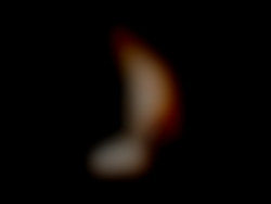 Member Image