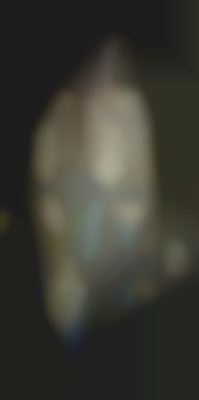 Member Image
