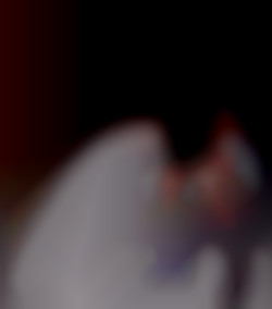 Member Image
