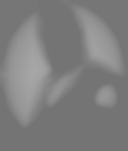 Member Image