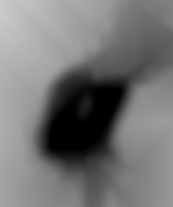 Member Image