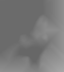 Member Image