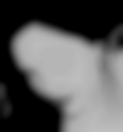 Member Image