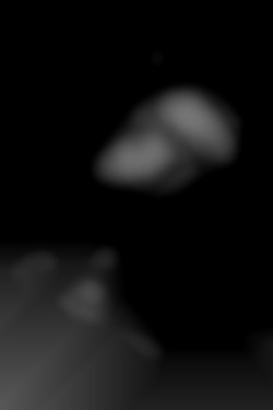 Member Image