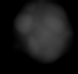 Member Image