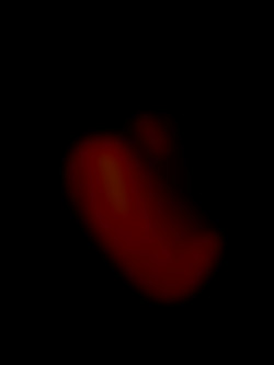 Member Image