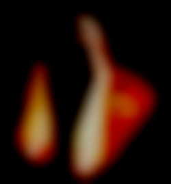 Member Image