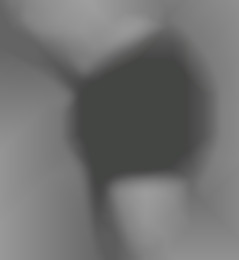 Member Image
