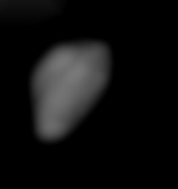 Member Image