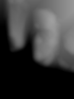 Member Image