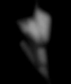 Member Image